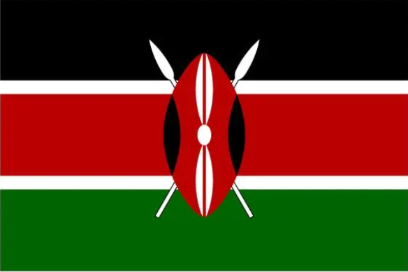 肯尼亚 加急（电子商务单次ETA）