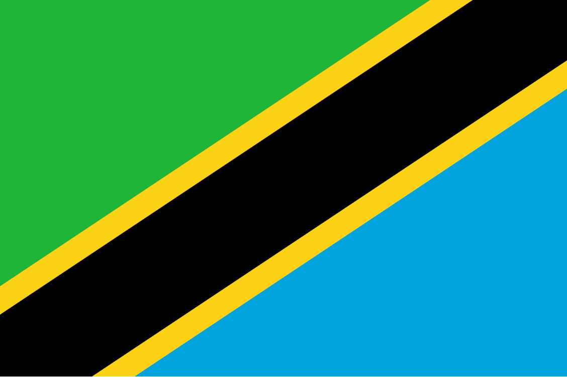 坦桑尼亚（电子旅游单次）