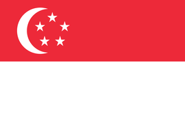 新加坡 港澳 非永久 广领