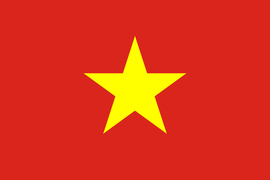 越南落地批文 30天多次